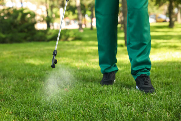 Best Termite Control Services  in Greenfield, MN