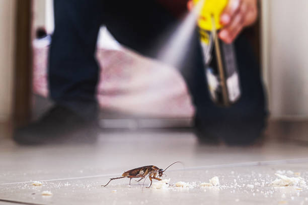 Pest Control Cost in Greenfield, MN