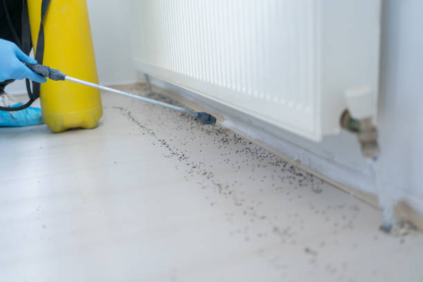Best Pest Prevention Services  in Greenfield, MN