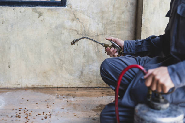 Best Wasp Removal Services  in Greenfield, MN